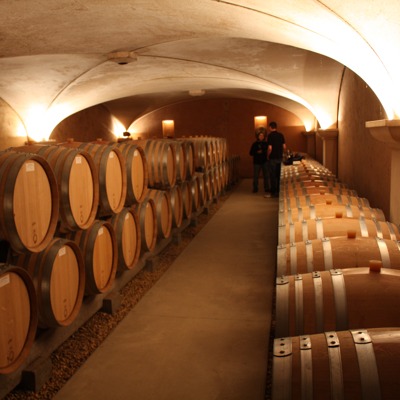 The beautiful barrel cellar for the reds from Anne Gros, Vosne-Romanée
