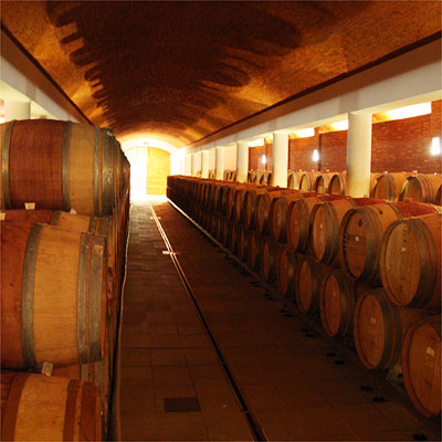 Anthonij Rupert cellar