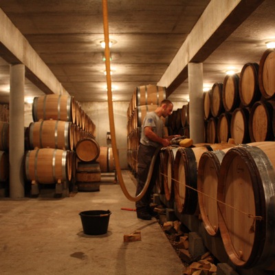 Aurélien Verdet in his (fairly) new cellar