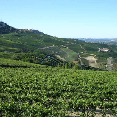 Barolo, yet another view