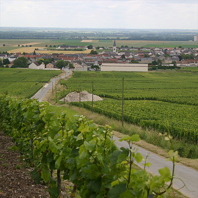 The Grand Cru village of Bouzy home town of Champagne Barnaut