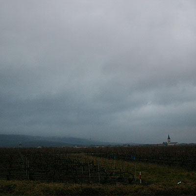 a view towards the village of Bouzy