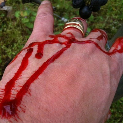 Oops I cut myself