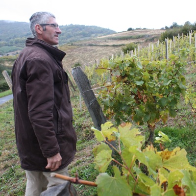 Bruno Perraud looking at his chardonnay vines