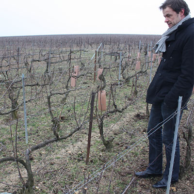 Emmanuel Brochet in Le Mont Benoit vineyard