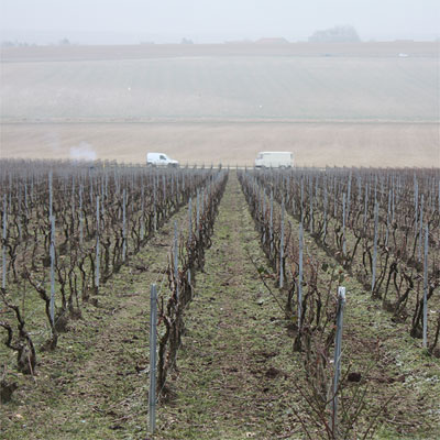 Looking down from Le Mont Benoit vineyard
