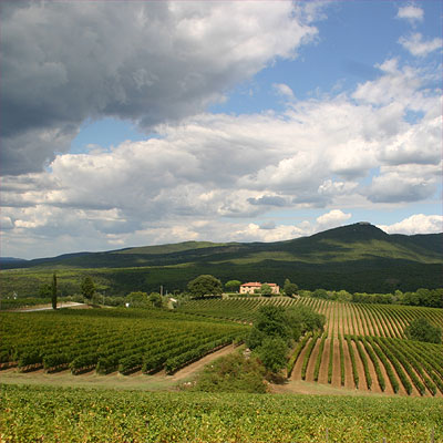 View from Podere Grattamacco