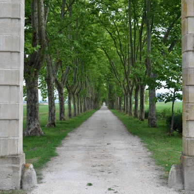 Chateau Guiraud, entrance