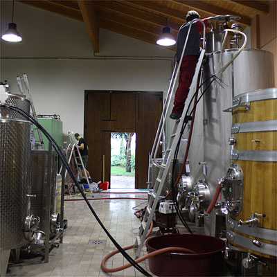 fermentation aerobic fermentation equation of wine