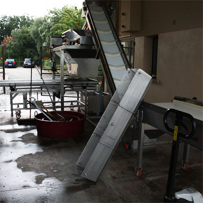 Le Macchiole: sorting before and after destemming