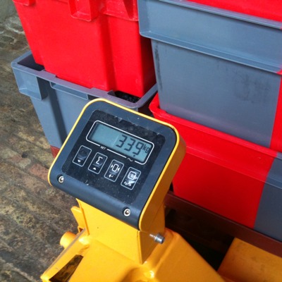 Weighing the Morey harvest: 339 kg