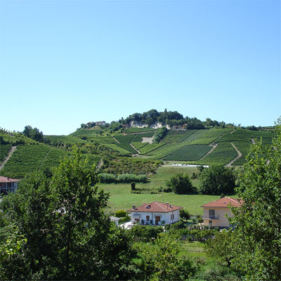 Amphitheater-like landscape of Roero