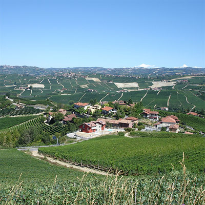 The rolling hillside vineyards of Barolo