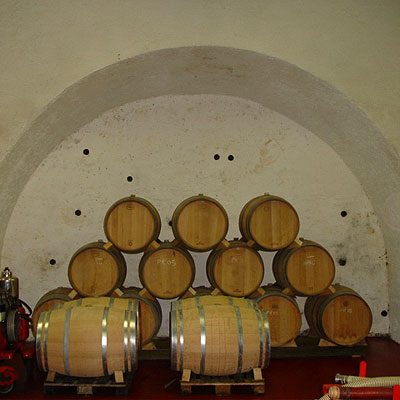 Valsangiacomo: new oak, and holes in the cellar wall