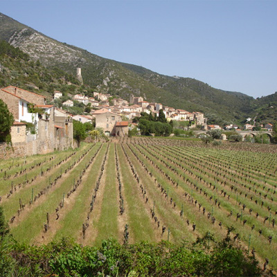 View of Roquebrun