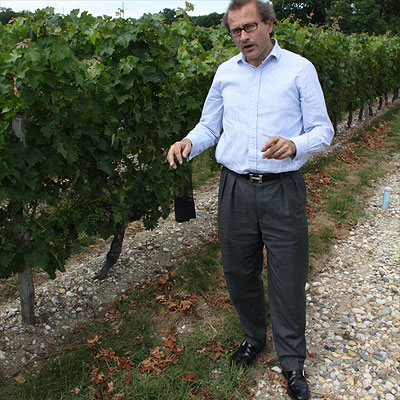 Vincent Mulliez showing the Belle-Vue vineyard
