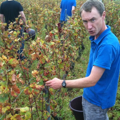 David Clark in his Vosne vineyard